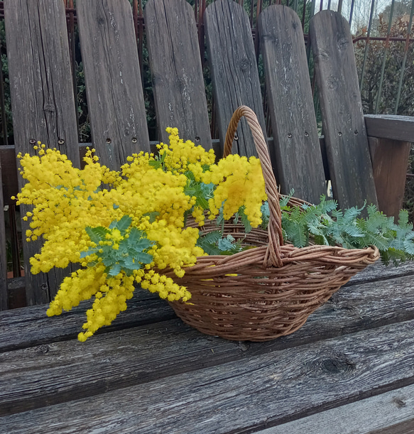 あけびの花籠バスケット 1枚目の画像