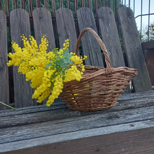 あけび籠　バスケット籠 あけび蔓 楕円バスケット 5サイズ展開 | 市川籠店 – 1basketry