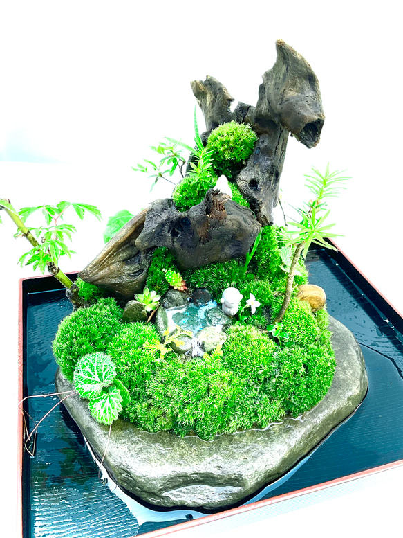苔　苔盆景　苔盆栽　極楽鳥とお地蔵さん 1枚目の画像