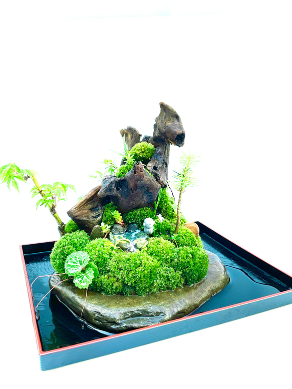 苔　苔盆景　苔盆栽　極楽鳥とお地蔵さん 20枚目の画像