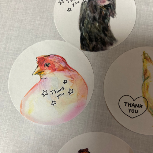にわとり 烏骨鶏 ひよこ 鳥さんシリーズ 4種 シール・ステッカー しま