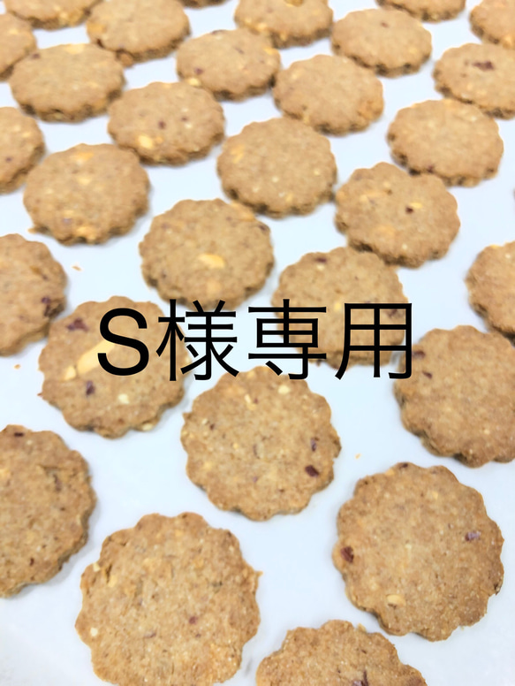 【S様専用】塩抜クッキーセット 1枚目の画像