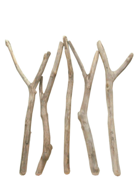 「送料無料」大枝太枝流木５本セット f286 インテリア店舗ディスプレイ園芸華材撮影用やDIY爬虫類用流木素材
