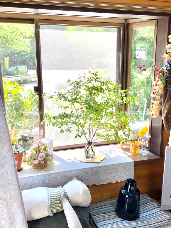 [生花]✨深山ドウダンツツジ❣️枝物切り枝❗️※70〜80cm×5本セット‼️※fleshグリーンインテリア✨ 4枚目の画像