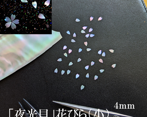 夜光貝」螺鈿細工用の花びら（小）／カット貝アクセサリーパーツ