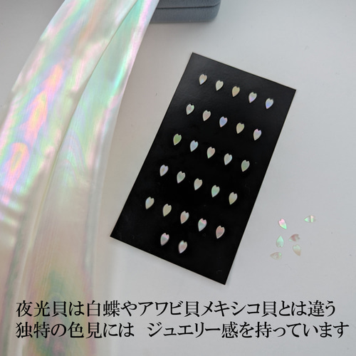 夜光貝」螺鈿細工用の菱形／カット貝アクセサリーパーツ（5