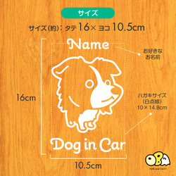 ボーダーコリーA お名前入りステッカー/DOG IN CAR カーステッカー ウォールステッカー 3枚目の画像