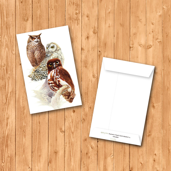 シックデザインセット（ポチ袋6枚） 2枚目の画像