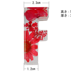 アルファベット イニシャル 文字 レッド A～Z ハート 樹脂 オブジェ 透明 花入り ギフト プレゼン 手作り 看板 6枚目の画像