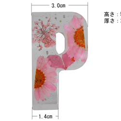 アルファベット イニシャル 文字 ピンク A～Z ハート 樹脂 オブジェ 透明 花入り ギフト プレゼン 手作り 看板 16枚目の画像