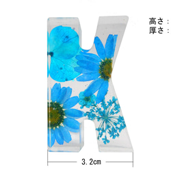 アルファベット イニシャル 文字 ブルー A～Z ハート 樹脂 オブジェ 透明 花入り ギフト プレゼン 手作り 看板 11枚目の画像