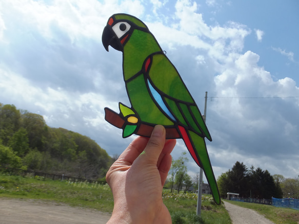 【受注制作】ステンドグラス　ヒメコンゴウインコ　サンキャッチャー　【鳥　小鳥　インコ】 1枚目の画像