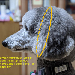 中型犬用　チェーンタイプ　ハーフチョーク首輪　(首回り２８cm～全内周３５ｃｍ)　お揃いのリードと共に 5枚目の画像