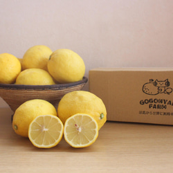 家庭用レモン（無農薬）1.2kg 1枚目の画像