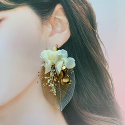 かすみ草 ピアス(フック・チェーン) の人気通販|Creema かすみ草 ピアス(フック・チェーン) の人気通販|Creema