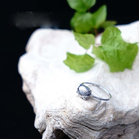 宇宙からの贈り物ギベオンSVリング＃