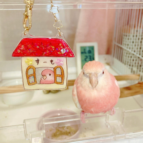 鳥かごお名前プレート(受注生産) リード・首輪 handmade chise 通販