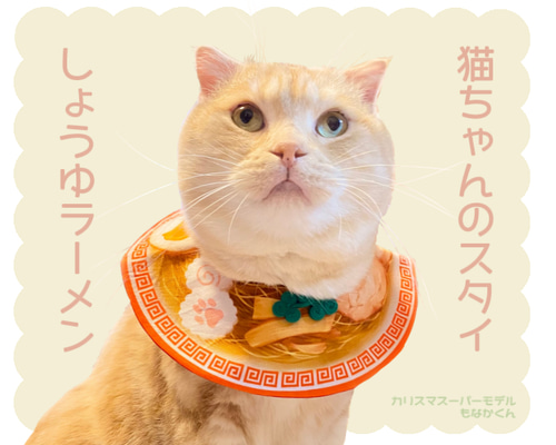 特価☆パッチリお目めの猫ちゃんスタイ☺️よだれ掛け☺️水色 特価