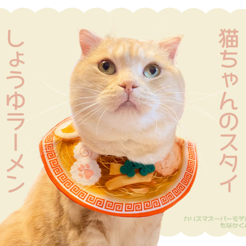 ☆リボンと爽やか猫ちゃんピアス☆ ハロウィン 黒猫＆魔女帽子 紫リボン