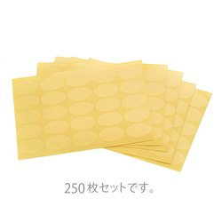 【環境に配慮】日本製 OPP袋 M (4.5㎝×8㎝)  100枚　テープなし 透明度が高く丈夫  A008 5枚目の画像