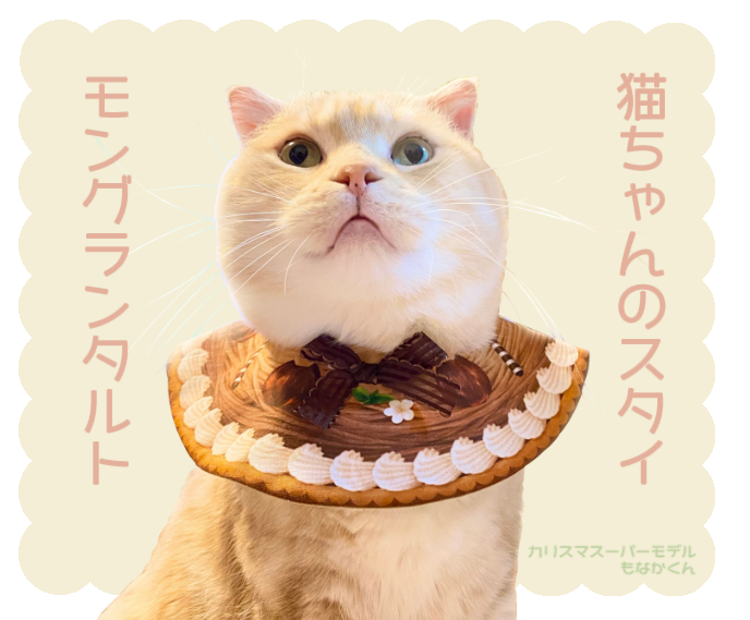 ハンドメイド ＊ ねこちゃんスタイ n1 ハンドメイド ＊ ねこちゃんスタイ n1