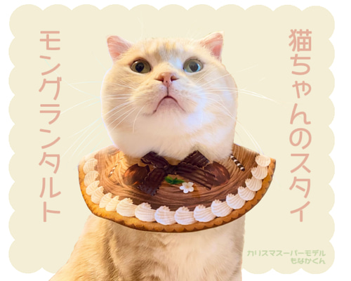 ハンドメイド ＊ ねこちゃんスタイ n1