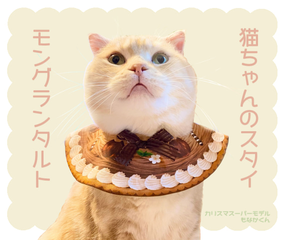 【猫ちゃんのスタイ】モンブランタルト【再販】 1枚目の画像