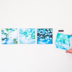 SQU4RE-Square- [Nemophila Blue] 為您的新生活上色的室內照片 第8張的照片