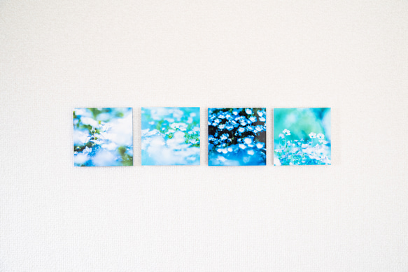 SQU4RE-Square- [Nemophila Blue] 為您的新生活上色的室內照片 第15張的照片