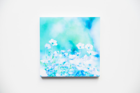 SQU4RE-Square- [Nemophila Blue] 為您的新生活上色的室內照片 第12張的照片