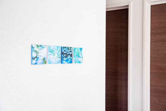 SQU4RE-Square- [Nemophila Blue] 為您的新生活上色的室內照片 第2張的照片