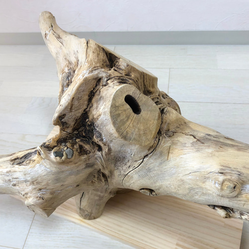 流木の止まり木】希少 ブランチウッドの存在感ある大型止まり木 ヨウム