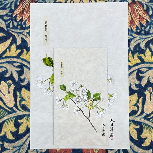 桜 さくら サクラ マグネットシートとポストカード 琴平