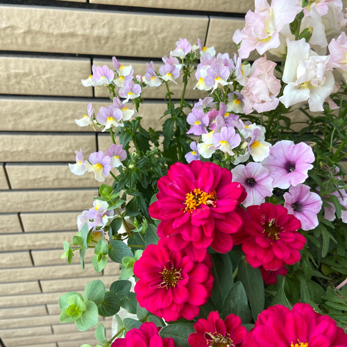 ラブリーな寄せ植え♡母の日ギフト 商品サイズ