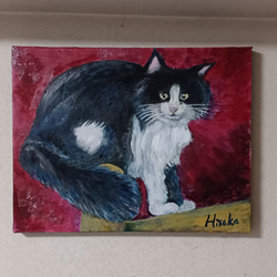 猫　油彩画   F6  410×318×2 キャンバスにoil　画家オリジナル 1枚目の画像