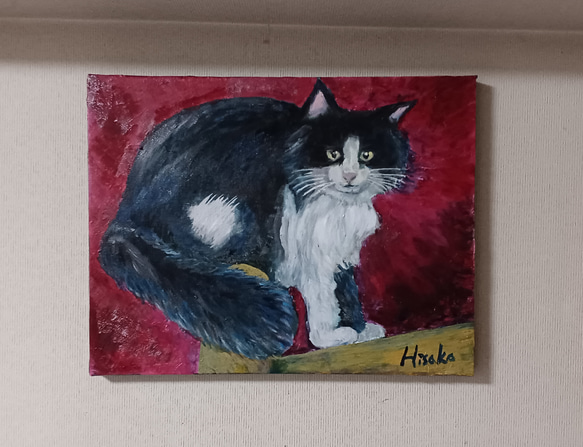 猫　油彩画   F6  410×318×2 キャンバスにoil　画家オリジナル 1枚目の画像