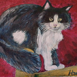 猫　油彩画   F6  410×318×2 キャンバスにoil　画家オリジナル 2枚目の画像
