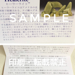 持ち主の心・パワーを今の自分自身に集中させる✴︎生霊・邪気・念除け✴︎火の神の宝珠・アグニマニタイト、ヒーラーライト 17枚目の画像