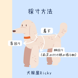 スイカメッシュのワンピース【受注】犬服オーダー製作（SSS～LLL）クールウェア　夏服 12枚目の画像