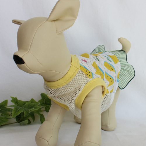 スイカメッシュのワンピース【受注】犬服オーダー製作（SSS～LLL