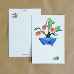 MIYUオリジナルポストカード ＊ミニ盆栽シリーズ＊ 5枚目の画像