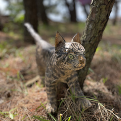 【受注制作】愛猫　愛犬を新聞紙アートで制作いたします。メモリアル 1枚目の画像