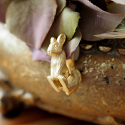 兔子耳環一隻耳朵荷蘭矮人啞光金 第3張的照片