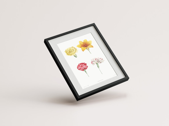 【NO.441】フラワーアートポスター花柄ナチュラルインテリア可愛い植物ボタニカルハガキA3A2A1B5B4B3B2B1 5枚目の画像
