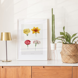 【NO.441】フラワーアートポスター花柄ナチュラルインテリア可愛い植物ボタニカルハガキA3A2A1B5B4B3B2B1 6枚目の画像