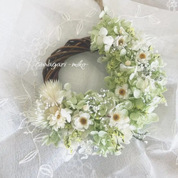 アナベルとエリンジウムのリース　パンパスグラス　グレベリア wreath「茜雲」№3 グレビレアゴールドとパンパスグラスのリース