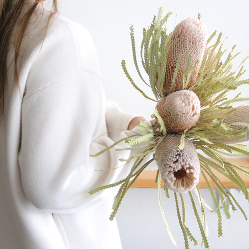 ドライフラワー❇️バンクシア❣️ バンクシア ドライフラワー Deuxieme(ドゥズィエム) 通販 15892971