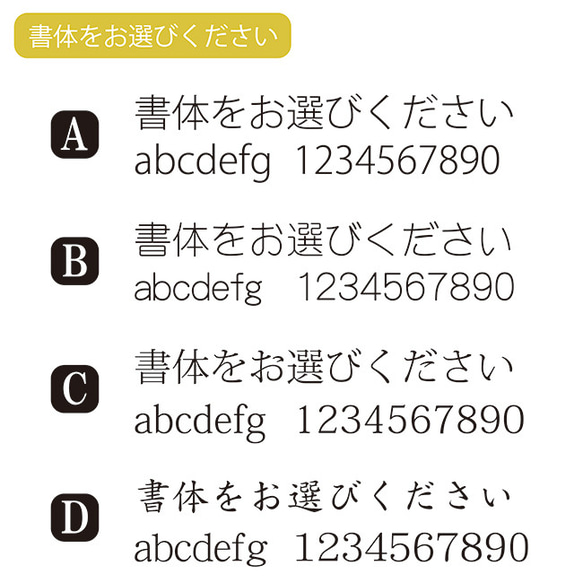  第4張的照片