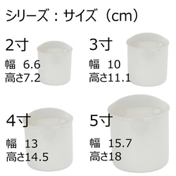  第13張的照片