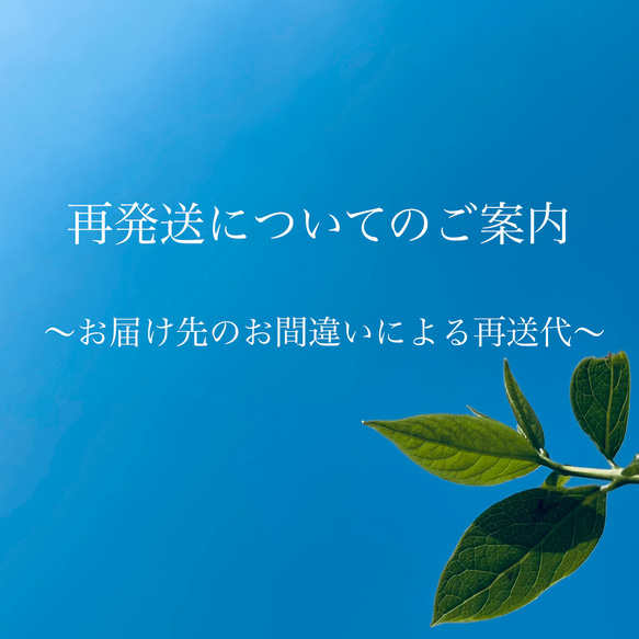 再発送についてのご案内 1枚目の画像